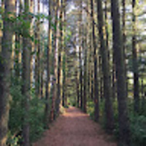 Meet your Posher, Will